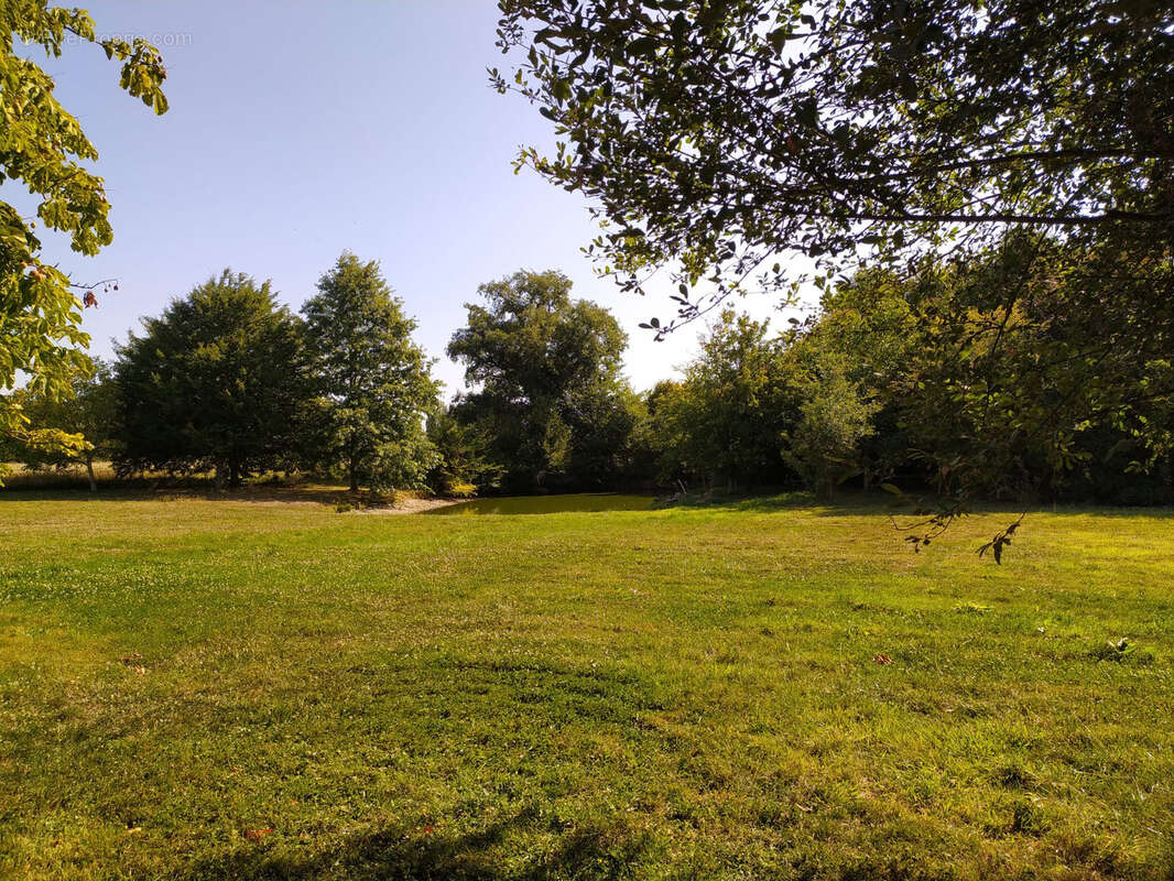 Belle propriété sur la commune de Loiré à 15 minutes de Segré - photo 15