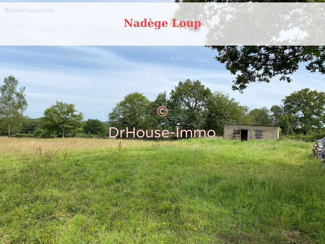 Maison 310 m² à Sainte-Colombe-Sur-Loing  - photo 10