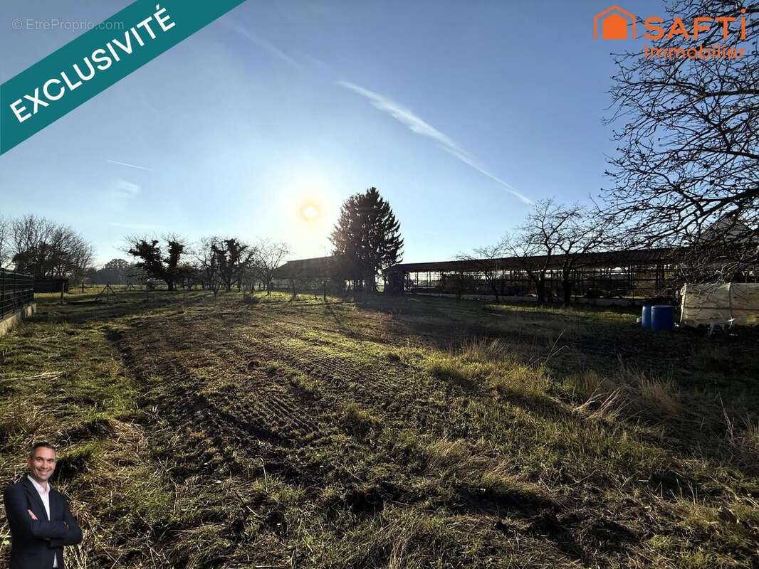 Photo 8 - Terrain à RICHTOLSHEIM