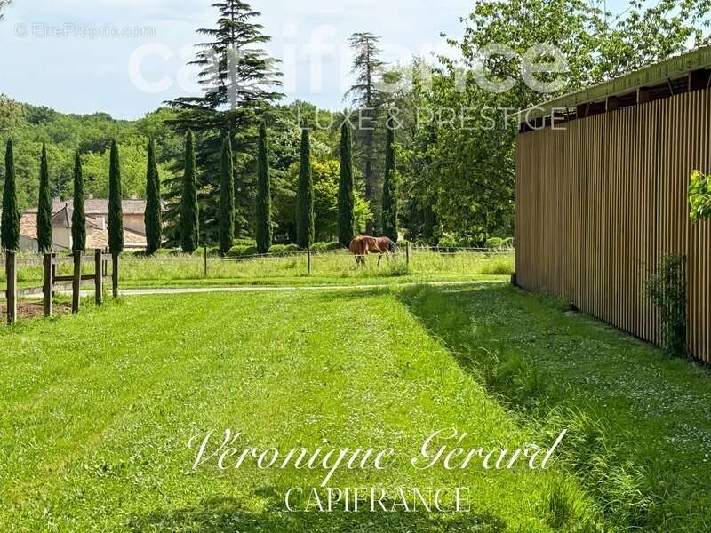 Maison à SALLEBOEUF