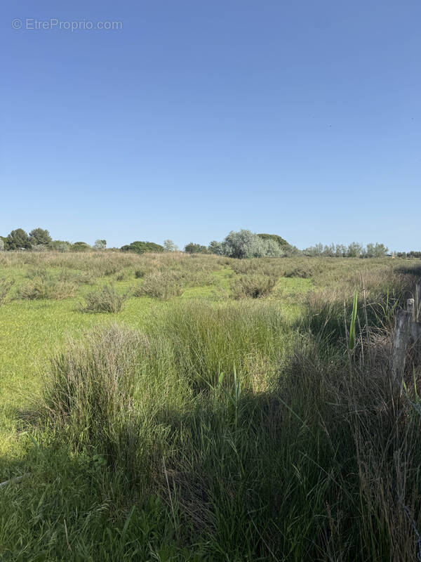 Terrain à AIGUES-MORTES