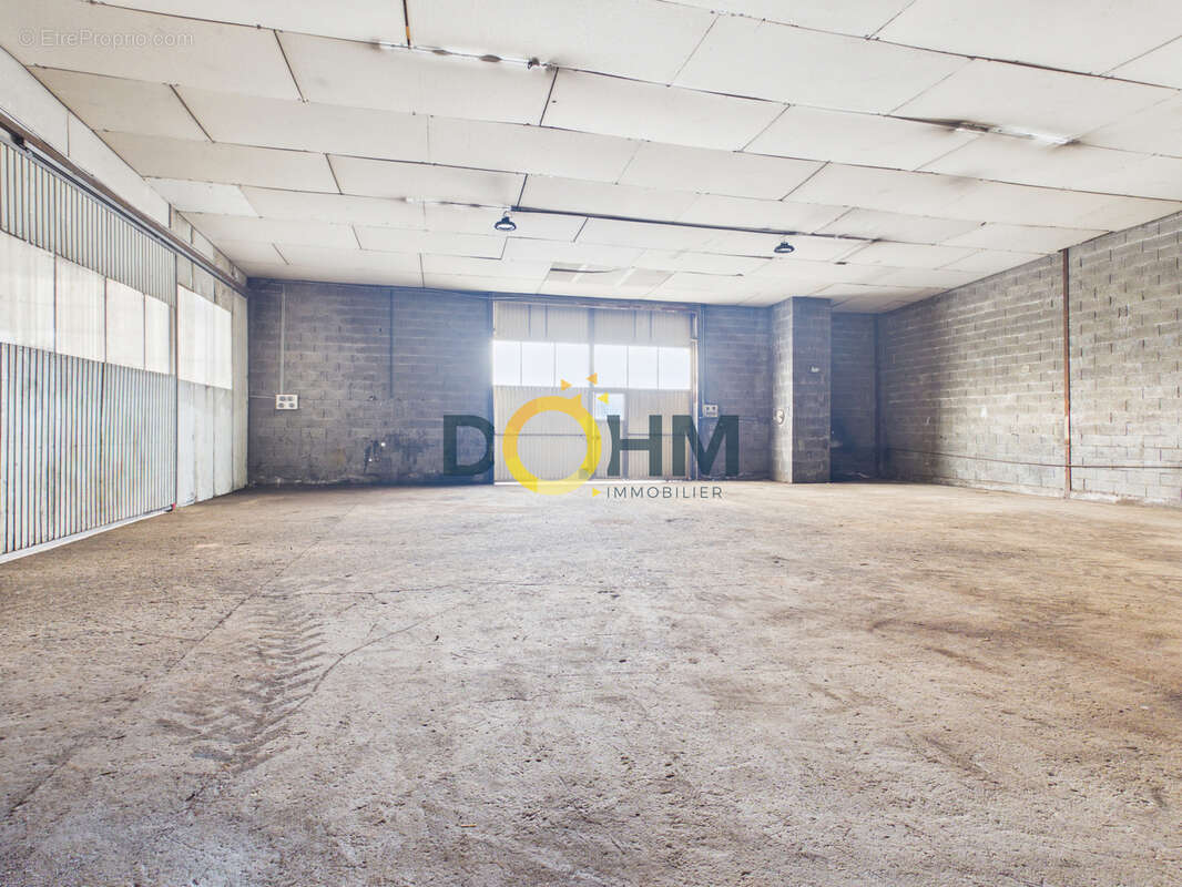 Local industriel 1670m2, carport 300m2 sur terrain de 7457m2 - photo 9