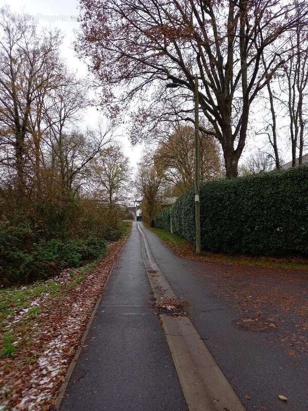 Terrain à SAMOIS-SUR-SEINE