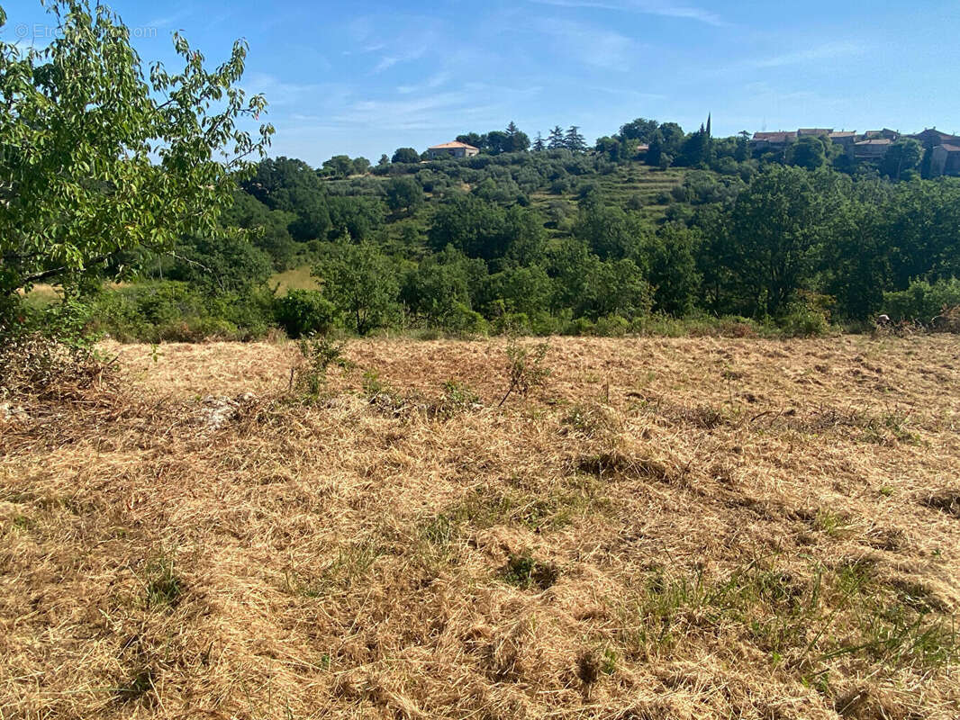 Terrain - Jolie environnement - photo 3