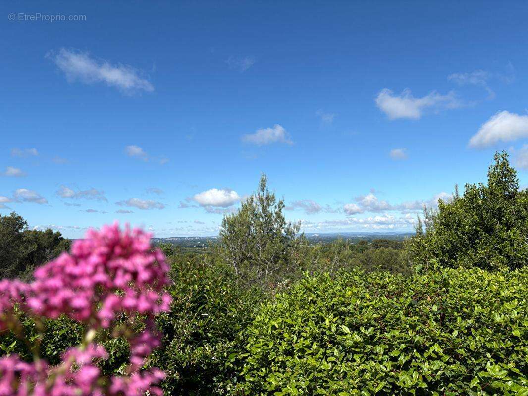 Demeure de prestige Pernes Les Fontaines  avec vue magique - photo 5