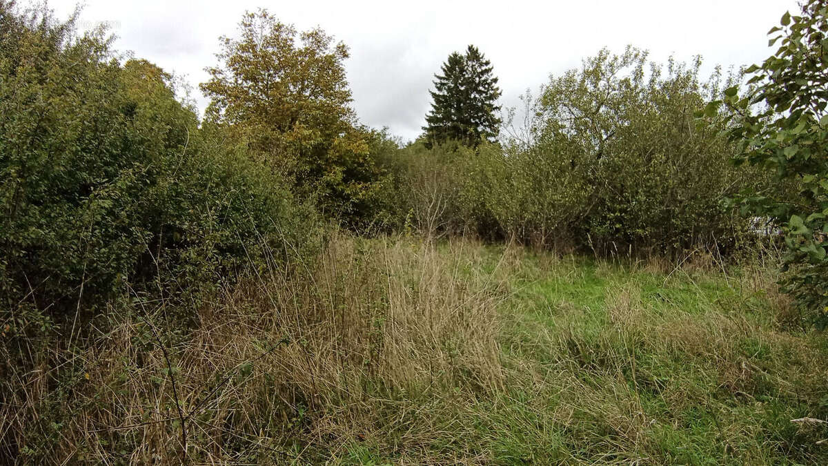Terrain à RECHICOURT-LE-CHATEAU