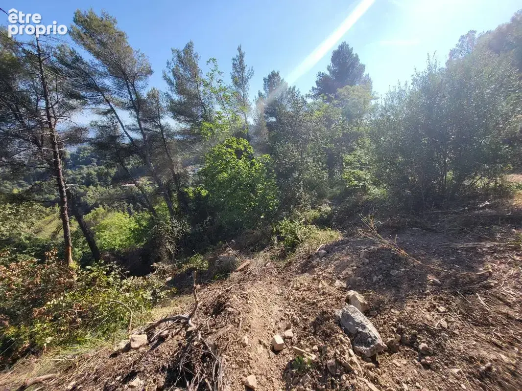Terrain 16 415 m² à vendre à La Trinite (06340) - photo 5