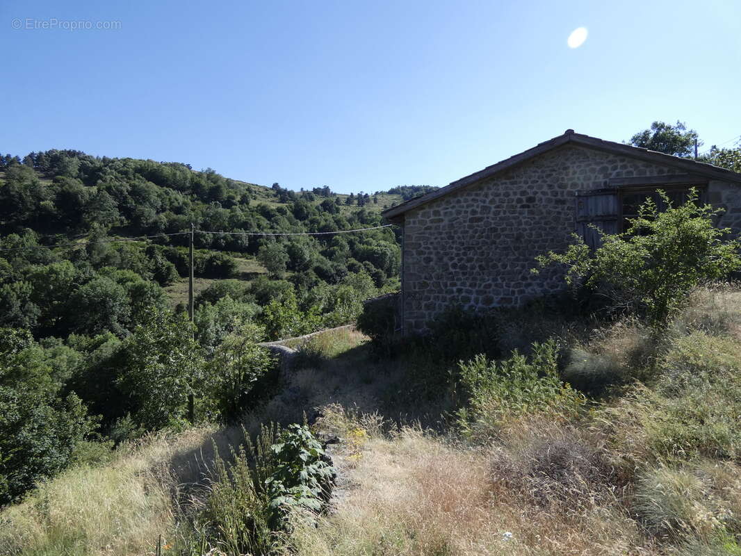 Belle et grande maison en pierre du 19 eme siècle à MEZILHAC (07 - photo 3