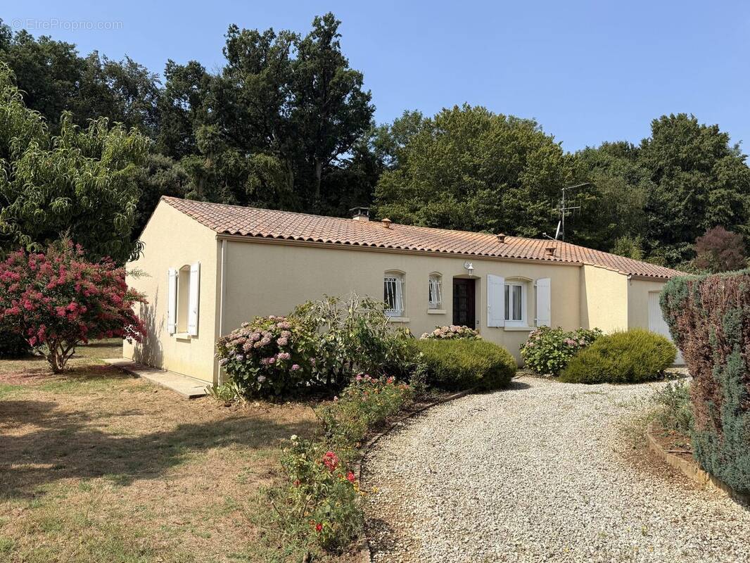 Maison à SAINT-SIMON-DE-PELLOUAILLE