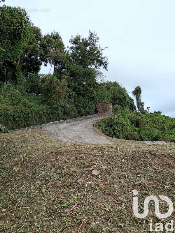 Photo 2 - Terrain à SAINT-PIERRE