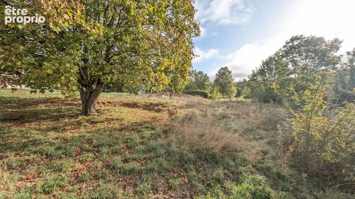 À vendre terrain à bâtir à villeneuve-sur-bellot ! - photo 5