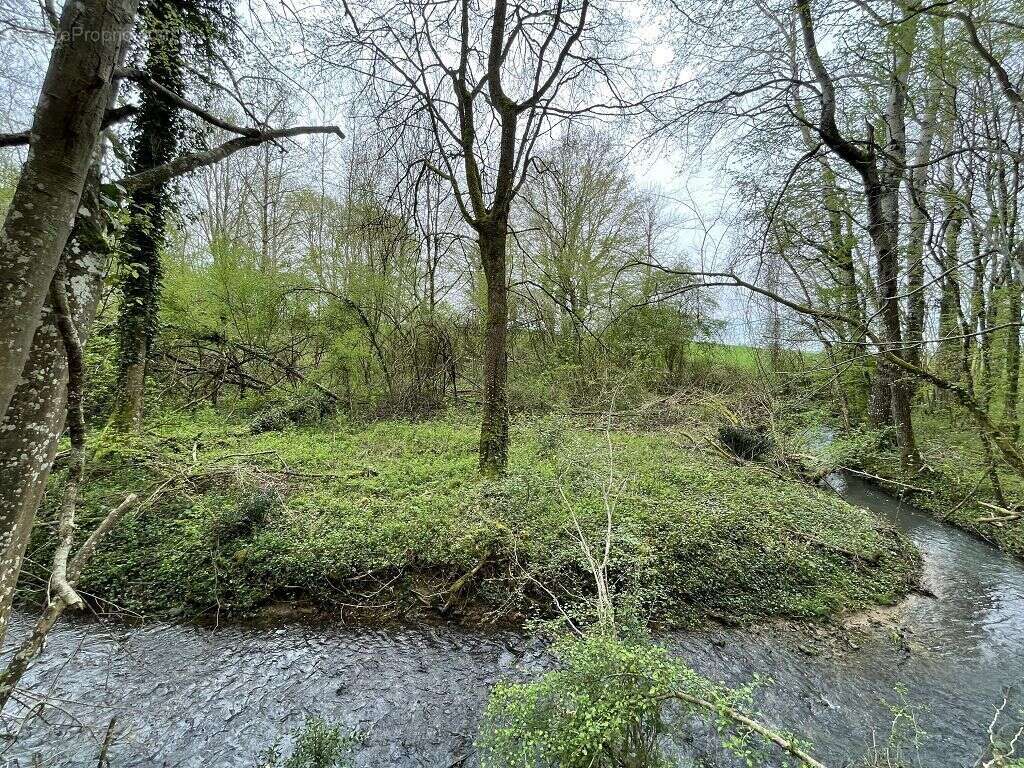 Terrain - 5440m ² - photo 2