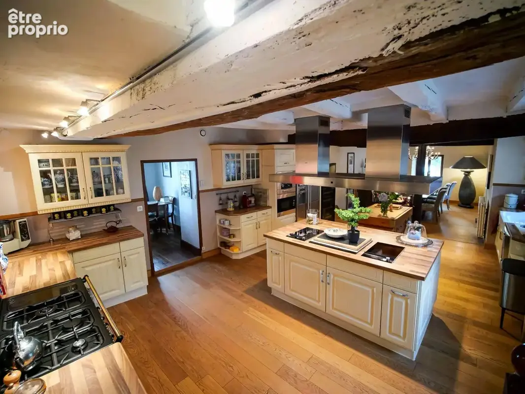 Maison 12 pièces 298 m² à vendre à Saint-Cyr-Sur-Loire (37540) - photo 4