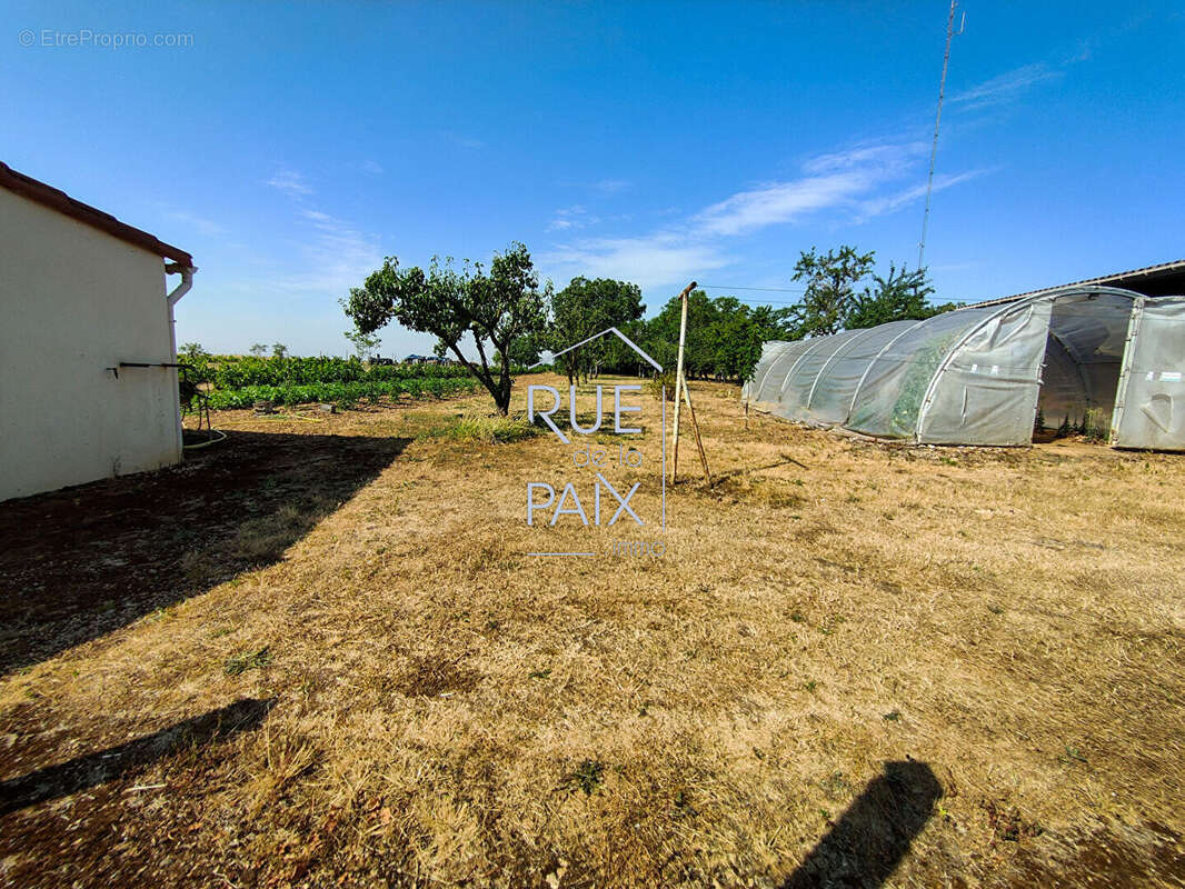 Maison La Grimaudiere sur sous-sol total -  4390m² de terrain - photo 16
