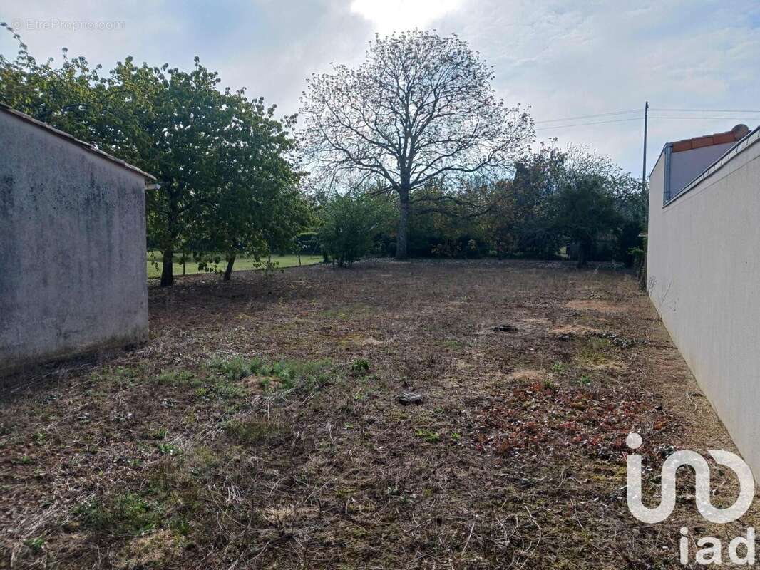 Photo 6 - Terrain à USSON-DU-POITOU