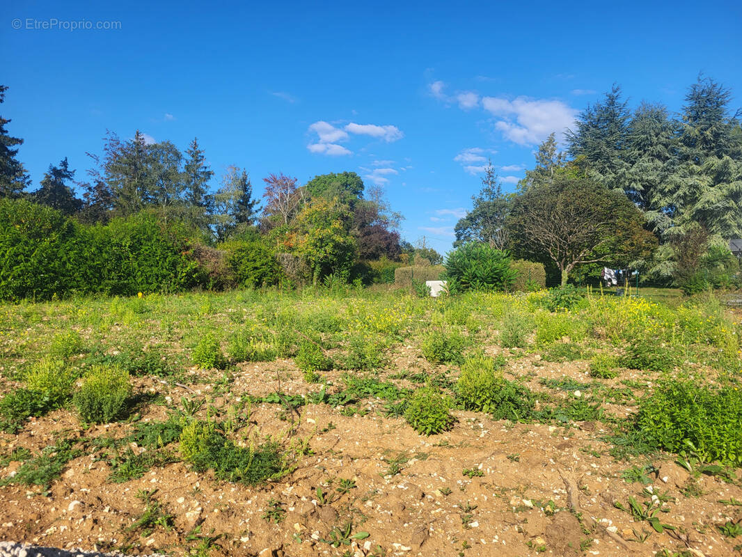 Terrain à AUFFARGIS