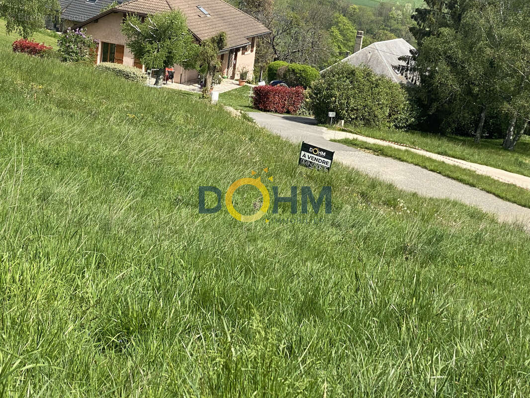 Terrain à SAINT-CASSIN