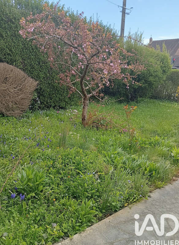 Photo 3 - Maison à MAUBEUGE