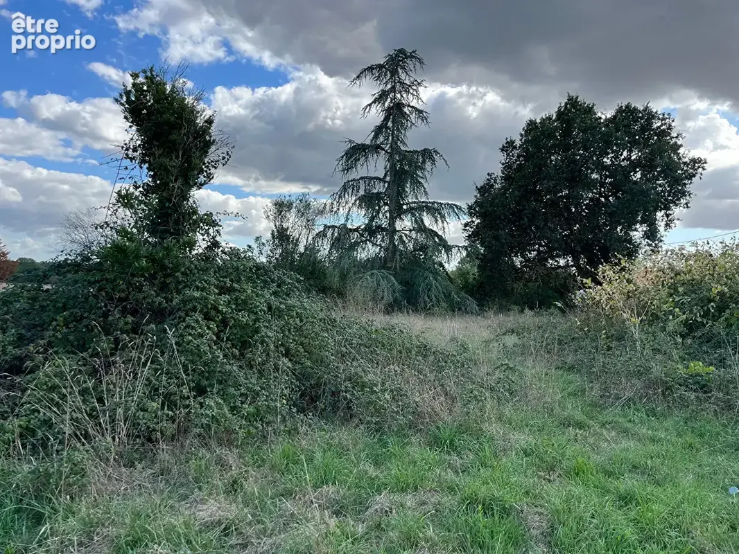 Saint christophe du ligneron - maison a renover 42m² - terrain  1122m² - photo 6