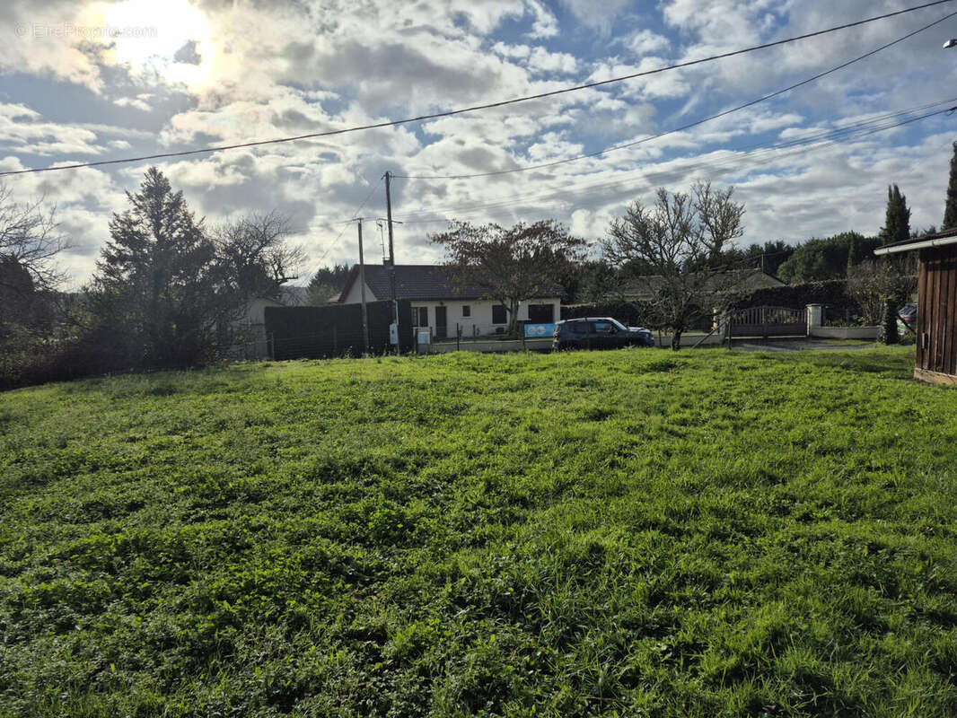 20251125_110340 - Terrain à SAINT-PARDOUX-LA-RIVIERE