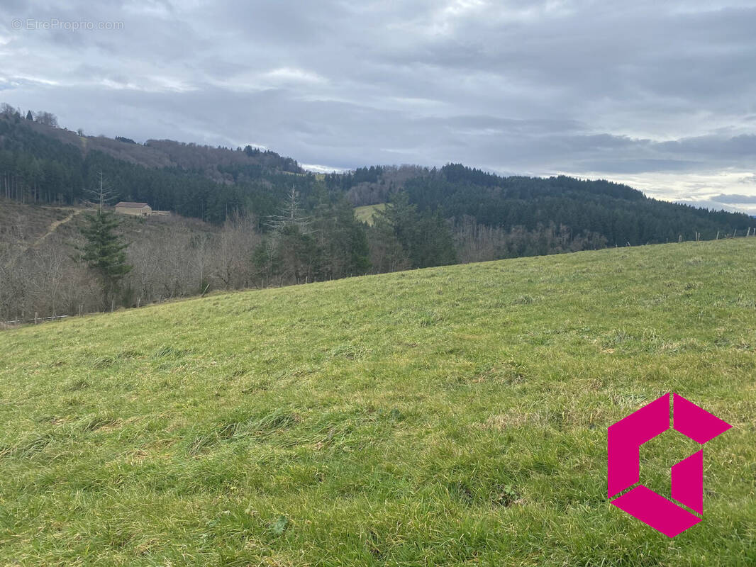 Terrain à VOLLORE-VILLE