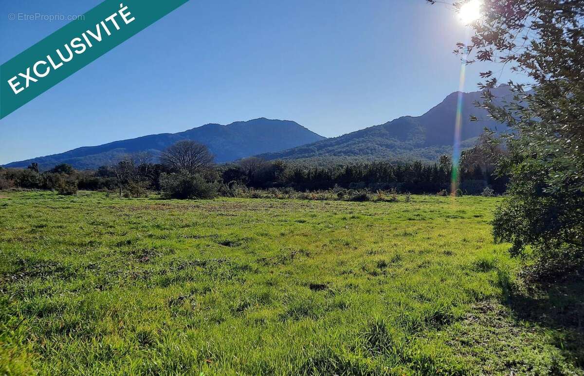 Photo 3 - Terrain à SOREDE