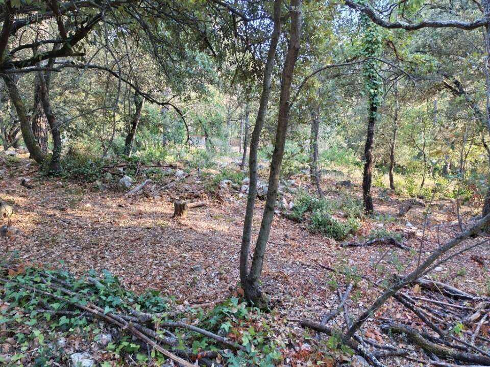Terrain 1920 m² à Camps-La-Source  - photo 11