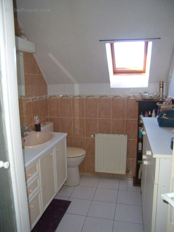 Maison à CHATENOY-EN-BRESSE