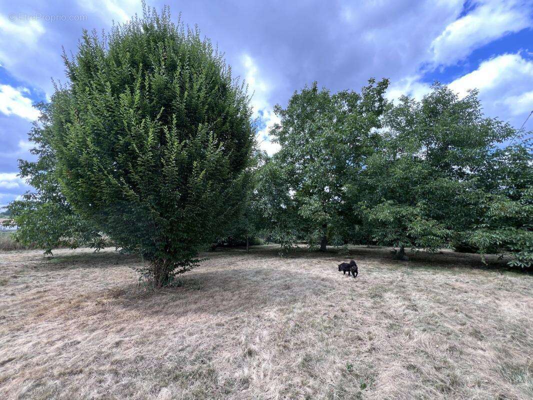 Maison à SAINT-GAUDENS
