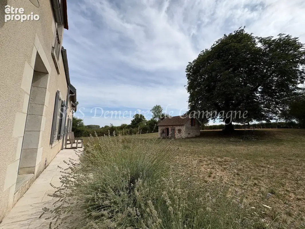 À 10 minutes de Sancerre  Ancien corps de ferme rénové au cœur d’un écrin de verdure - photo 21