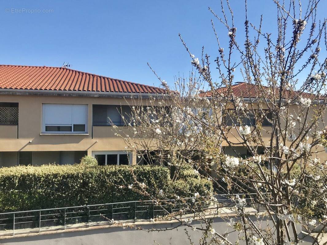 Appartement à CASTELGINEST