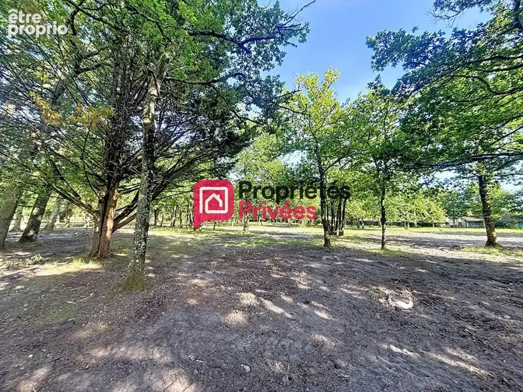 Hourtin-port - votre terrain à bâtir de 542 m² à deux pas du lac - photo 5