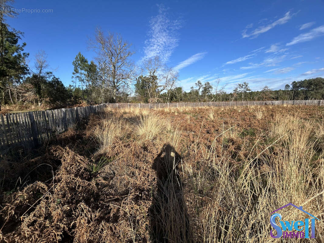 Terrain à MOLIETS-ET-MAA