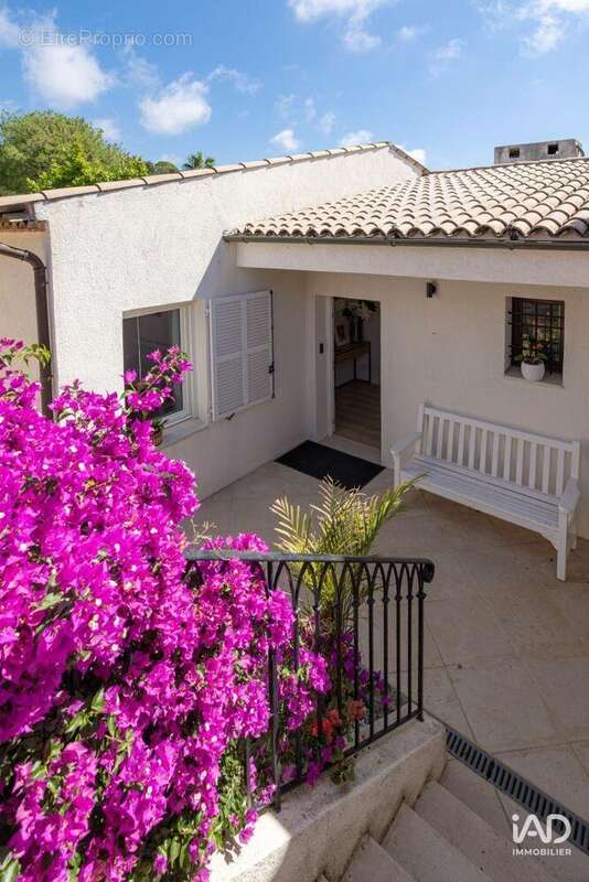 Photo 6 - Maison à VILLENEUVE-LOUBET