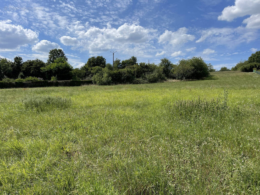 Terrain à CHATILLON-SUR-LOIRE