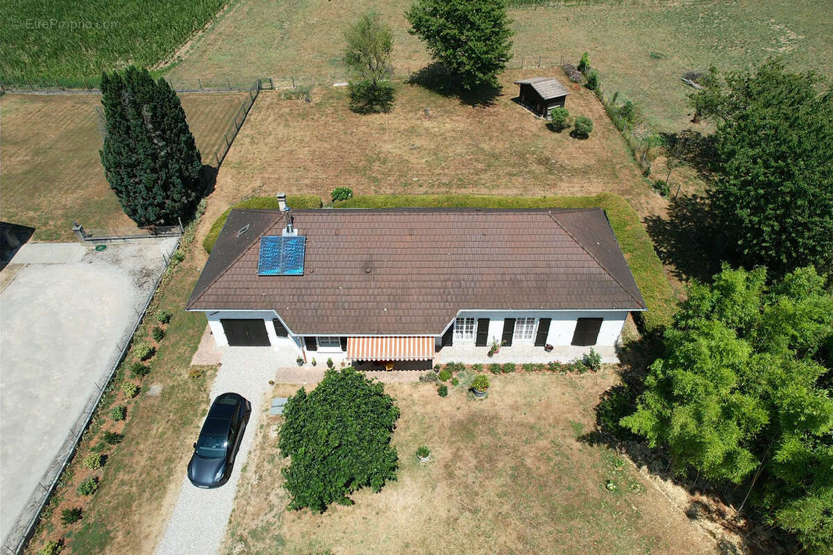 Domessin - Maison T6 de 140 m2 de plain-pied rénovée - Terrain 3 500 m2 - photo 3