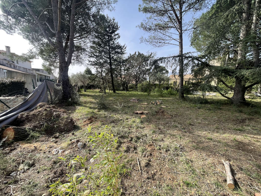 Terrain à SAINT-JEAN-DE-FOS