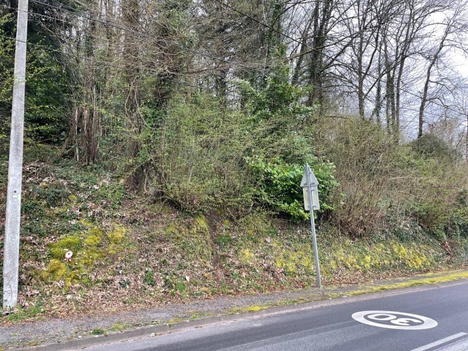 Terrain à BOSMIE-L'AIGUILLE
