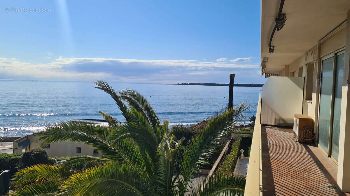 Très beau 3 pièces dans le secteur prisé du Palm Beach ; - photo 9
