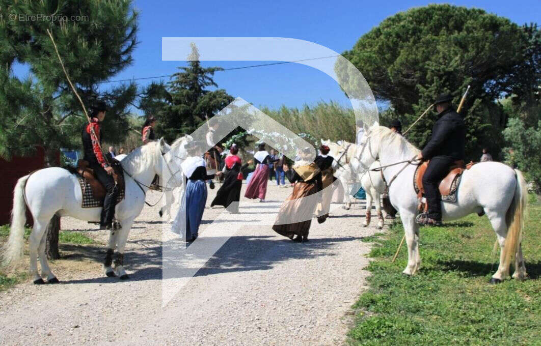 Commerce à SAINT-LAURENT-D&#039;AIGOUZE