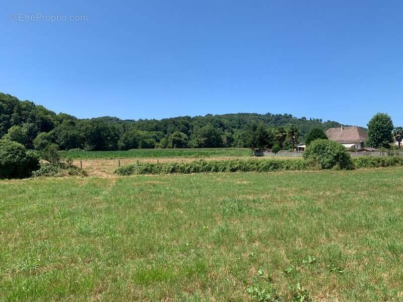 Terrain à RONTIGNON