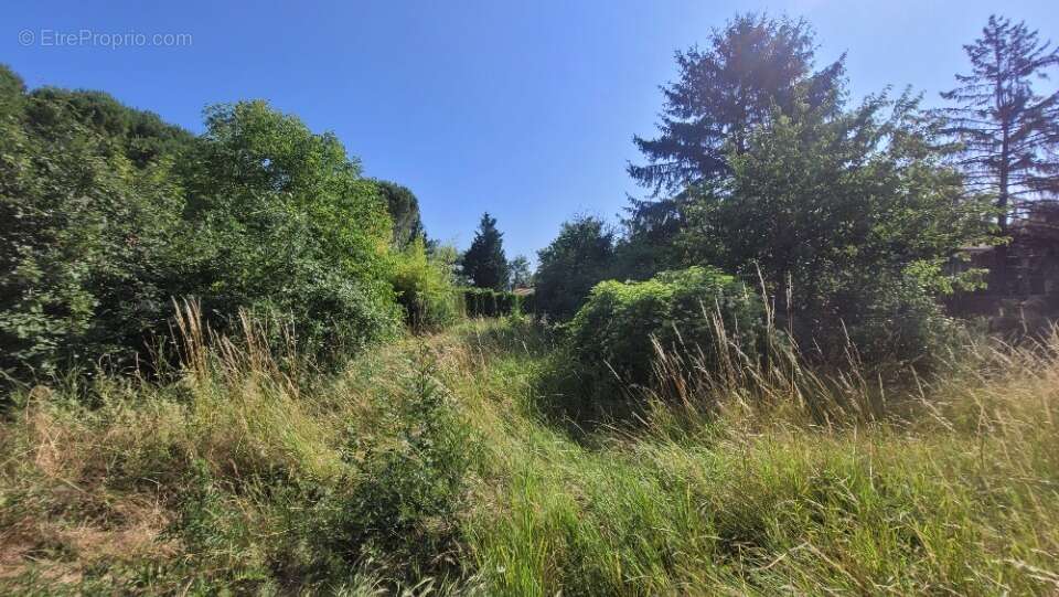 Terrain à AOUSTE-SUR-SYE