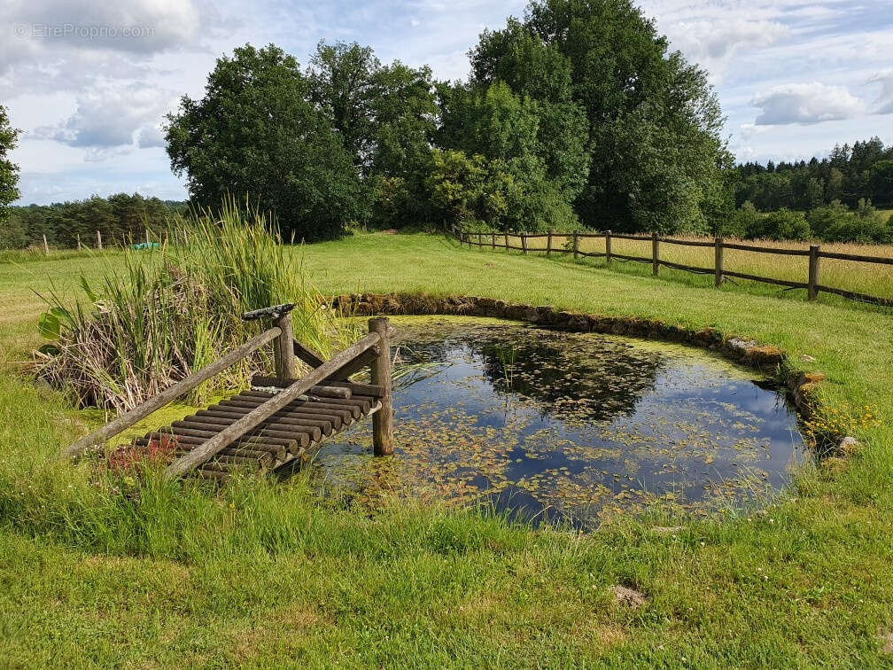 Magnifique propriété du 17éme, 2,5 ha prairie attenant, piscine, proche bourg tous commerces. - photo 22