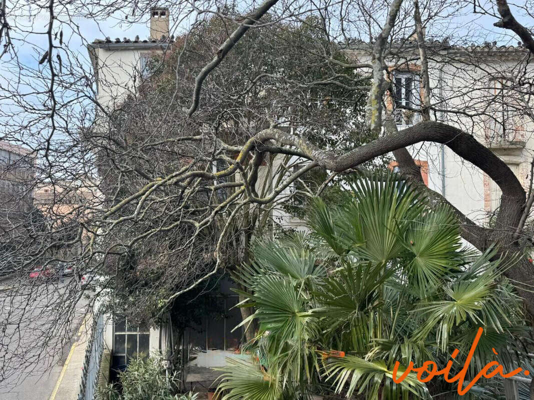 Maison à CARCASSONNE