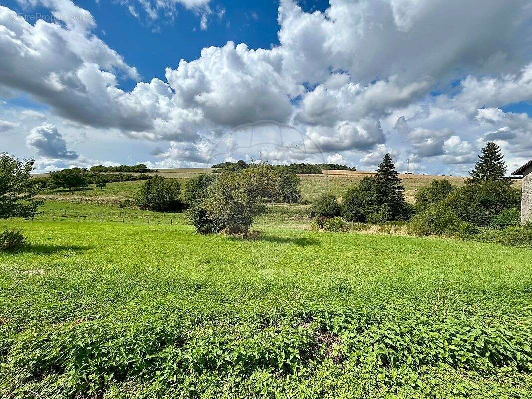 Terrain à SENONCOURT-LES-MAUJOUY
