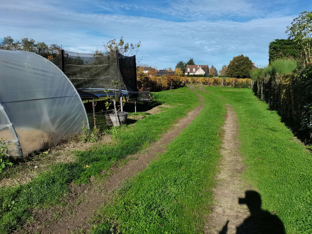 Maison à CHOUZE-SUR-LOIRE