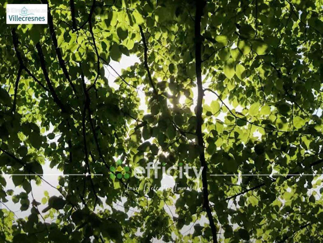 Terrain à VILLECRESNES