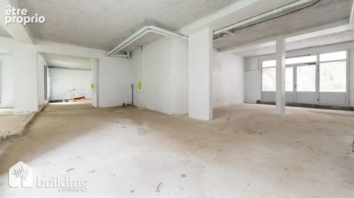 Batignolles Paris 17ème - Local commercial 236,50 m² Carrez avec 37 m² de jardin - photo 3
