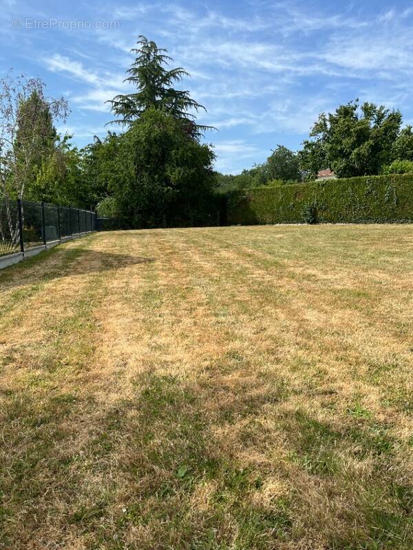 Terrain à ANCINNES
