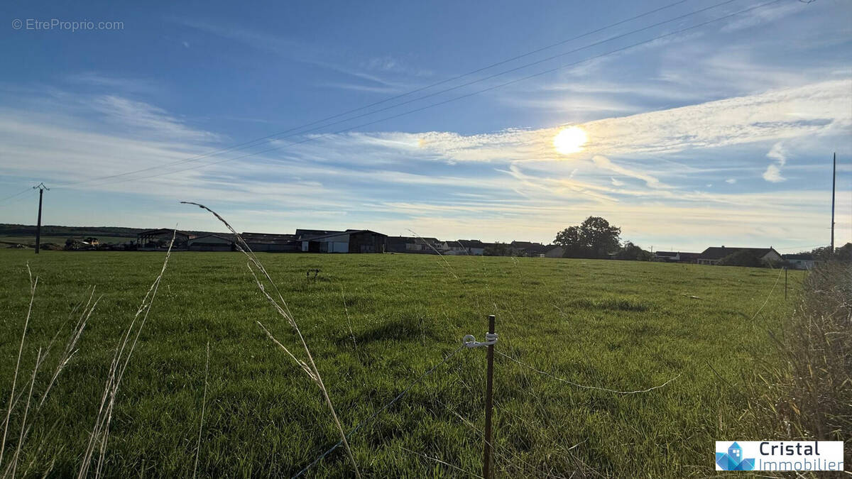 Terrain à KIRSCHNAUMEN